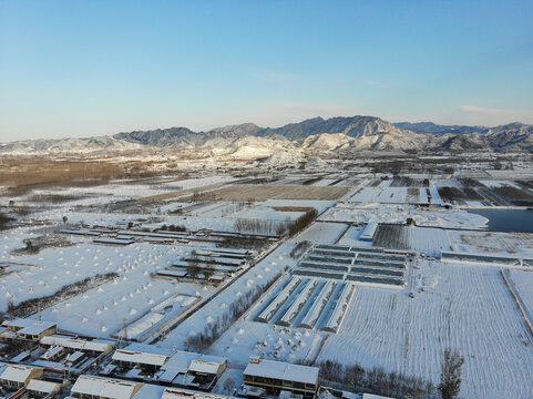 千里冰封万里雪飘