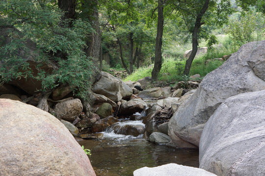 山溪流水