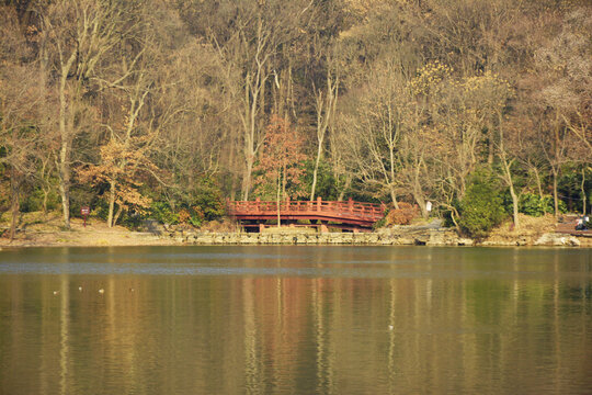 湖畔红色木桥