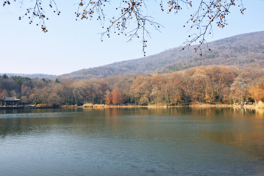 紫霞湖冬景