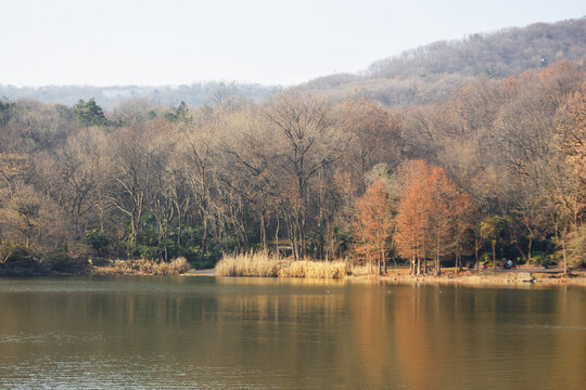 湖泊与山林冬景