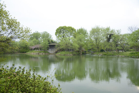 杭州西溪湿地春景