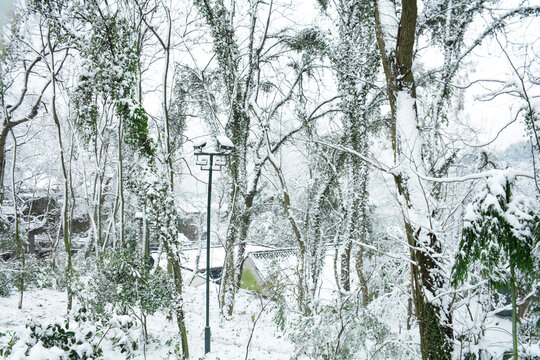 雪景