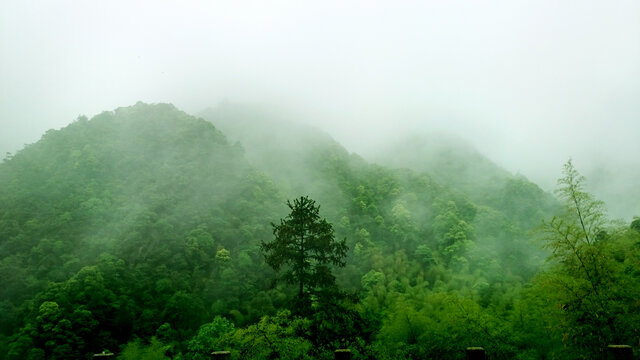 黄山风光