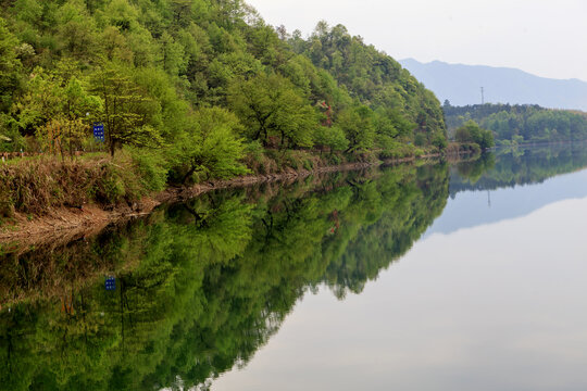 青山绿水