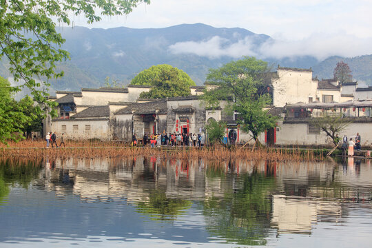 春日宏村风光