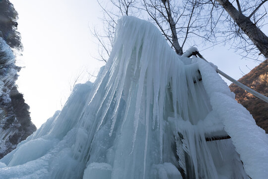 冬季冰天雪地里的冰柱