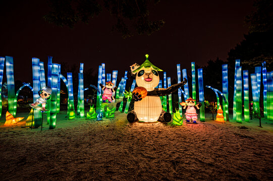 长春动植物园西游记主题乐园夜景