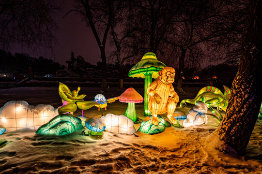 长春动植物园西游记主题乐园夜景