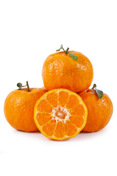 柑橘白底图