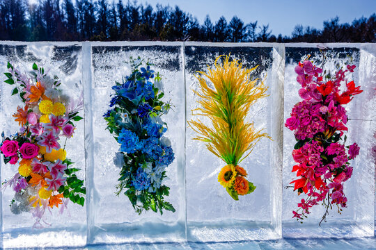 冰中盛开的花
