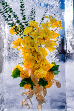 冰中盛开的玫瑰与菊花和兰花