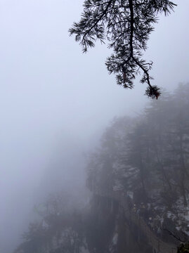 老君山雪雾