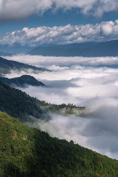 茶山云海