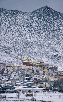 云南香格里拉松赞林寺冬季雪景