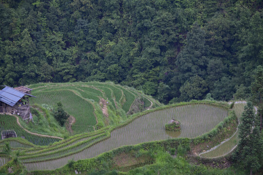 山区梯田