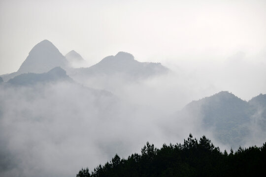 高山云雾