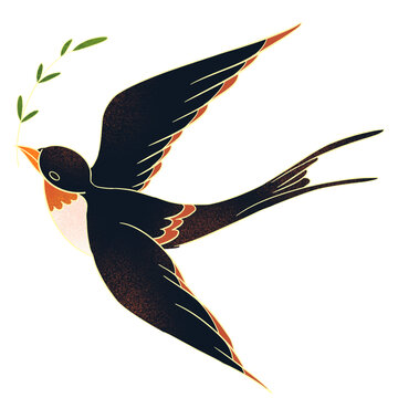 简约燕子鸟手绘插画