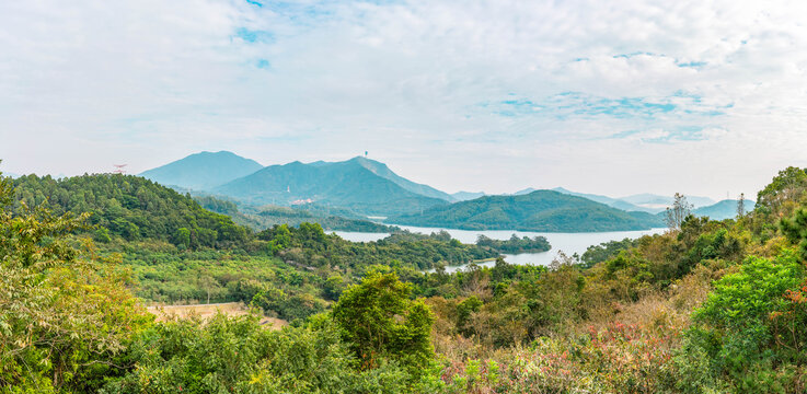 梧桐山风景弘法寺远景全景图