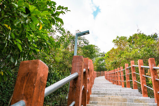 登山路石阶道