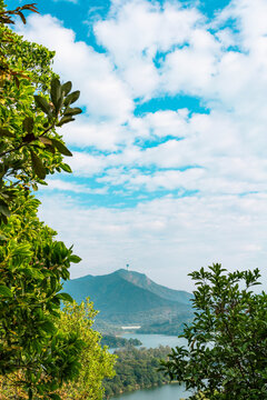 梧桐山风景