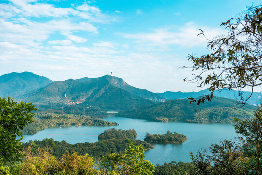 仙湖植物园