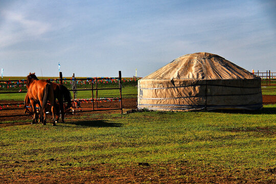 蒙古包草原马