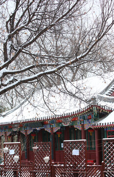 雪景