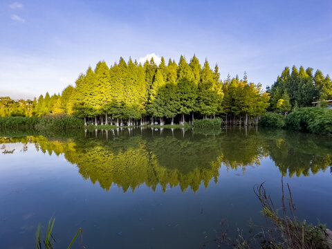 滇池湿地