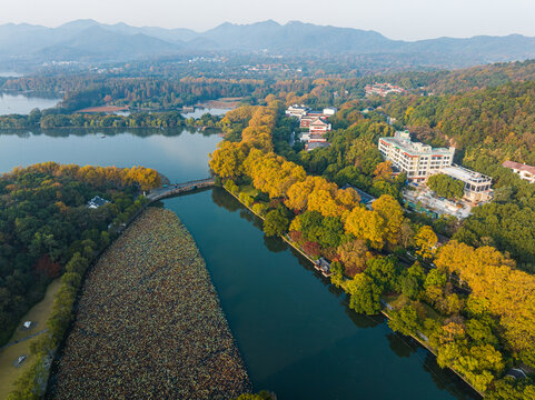 杭州北山街秋色