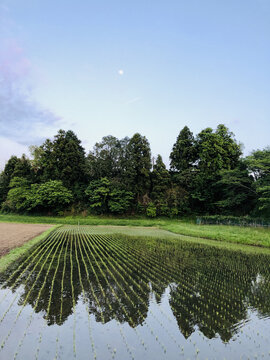 日本乡村生态风光