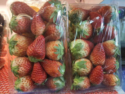 草莓打包