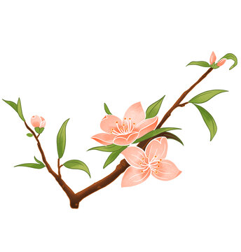 中式国潮花卉插画