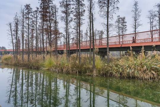 锦城湖风光