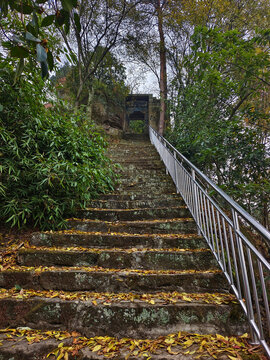 登山石梯