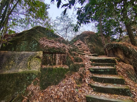 落叶山路