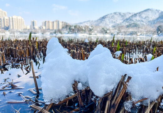 雪后的湖泊