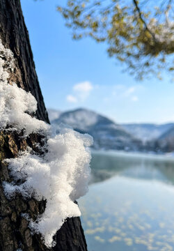 湖边的雪景