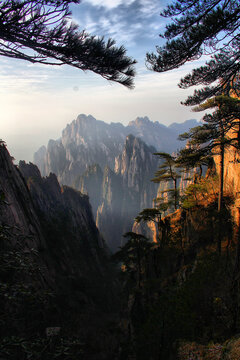 黄山远眺黄山松