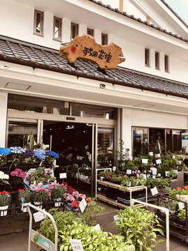 日本花店日式花店装潢