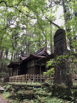 日本成田山公园里的日式木建筑