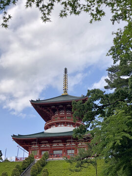 日本成田山新胜寺平和大塔