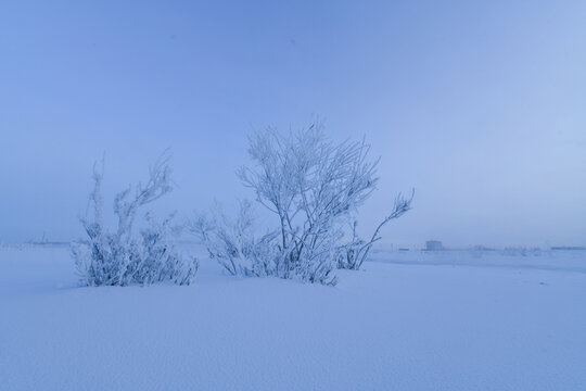 雪