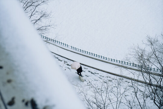 雪地行人