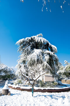 雪后初晴