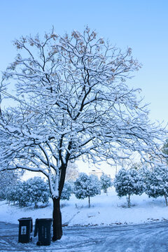 雪景