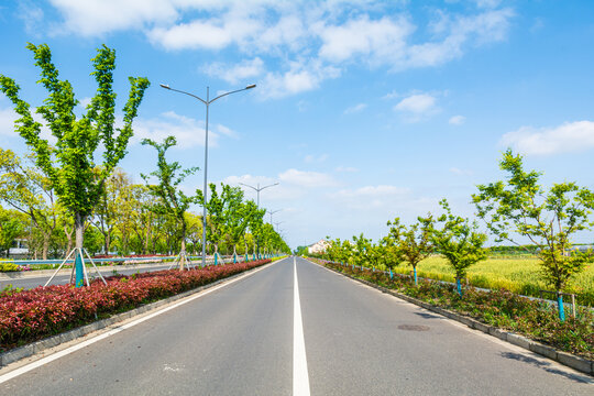 马路