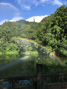 池塘上有彩虹