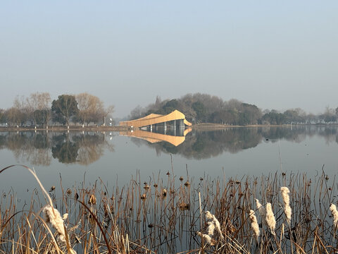 湖景