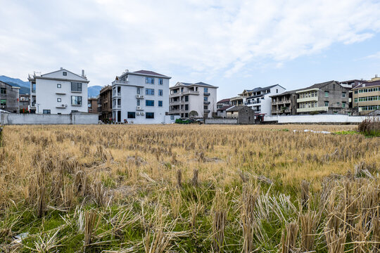 乡村冬季田野